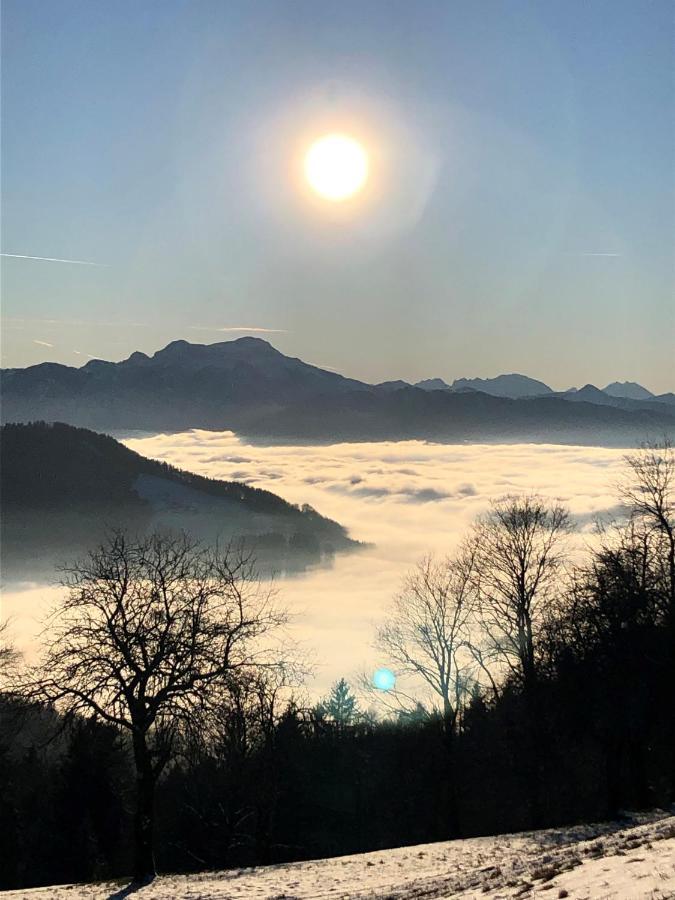 Fewo Atterseeperle - 80M2 Mit See- Und Gebirgsblick Steinbach am Attersee Extérieur photo