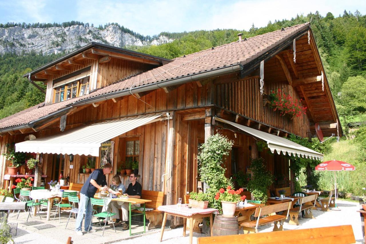 Fewo Atterseeperle - 80M2 Mit See- Und Gebirgsblick Steinbach am Attersee Extérieur photo
