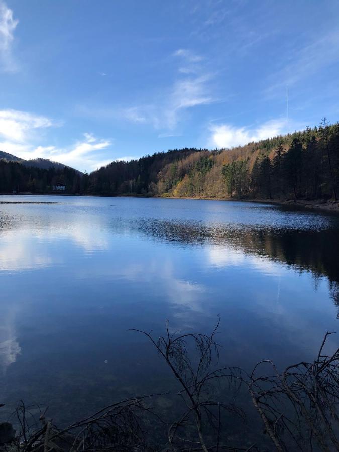 Fewo Atterseeperle - 80M2 Mit See- Und Gebirgsblick Steinbach am Attersee Extérieur photo