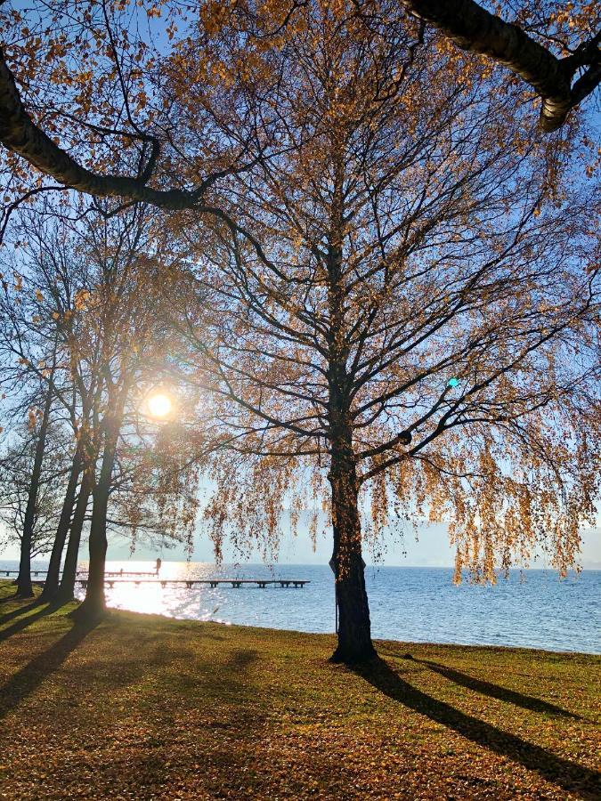 Fewo Atterseeperle - 80M2 Mit See- Und Gebirgsblick Steinbach am Attersee Extérieur photo