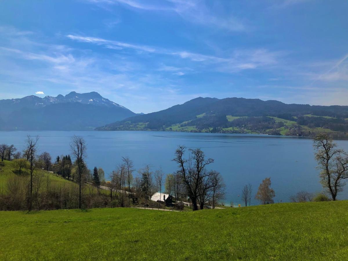 Fewo Atterseeperle - 80M2 Mit See- Und Gebirgsblick Steinbach am Attersee Extérieur photo
