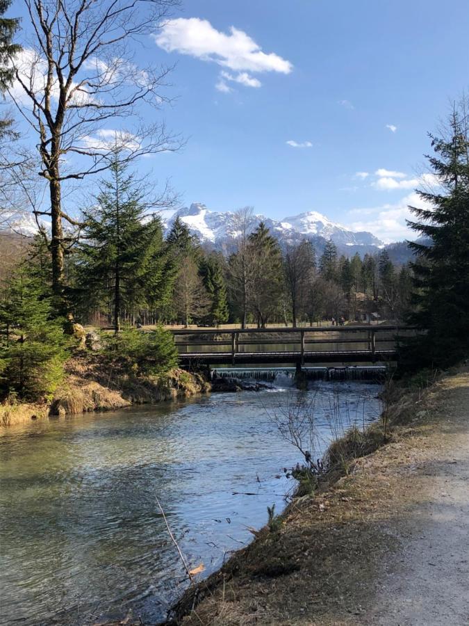 Fewo Atterseeperle - 80M2 Mit See- Und Gebirgsblick Steinbach am Attersee Extérieur photo