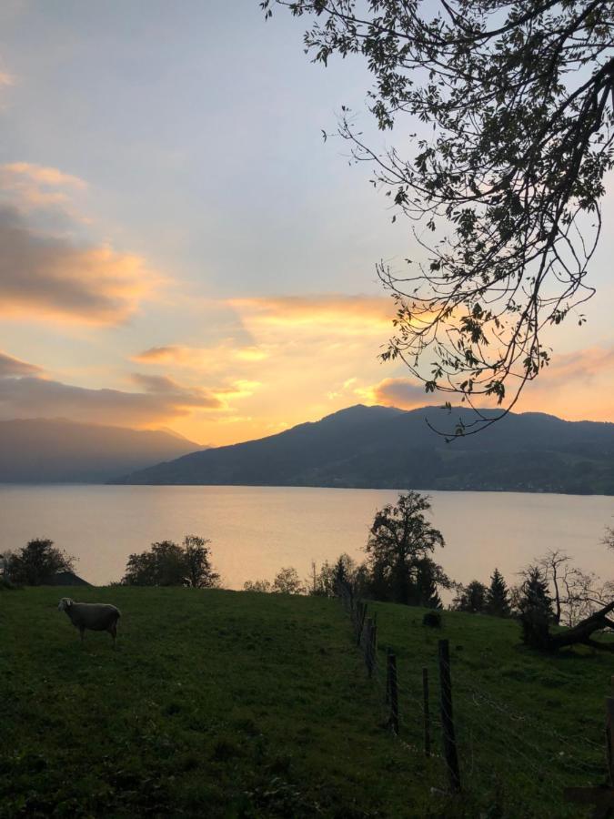 Fewo Atterseeperle - 80M2 Mit See- Und Gebirgsblick Steinbach am Attersee Extérieur photo