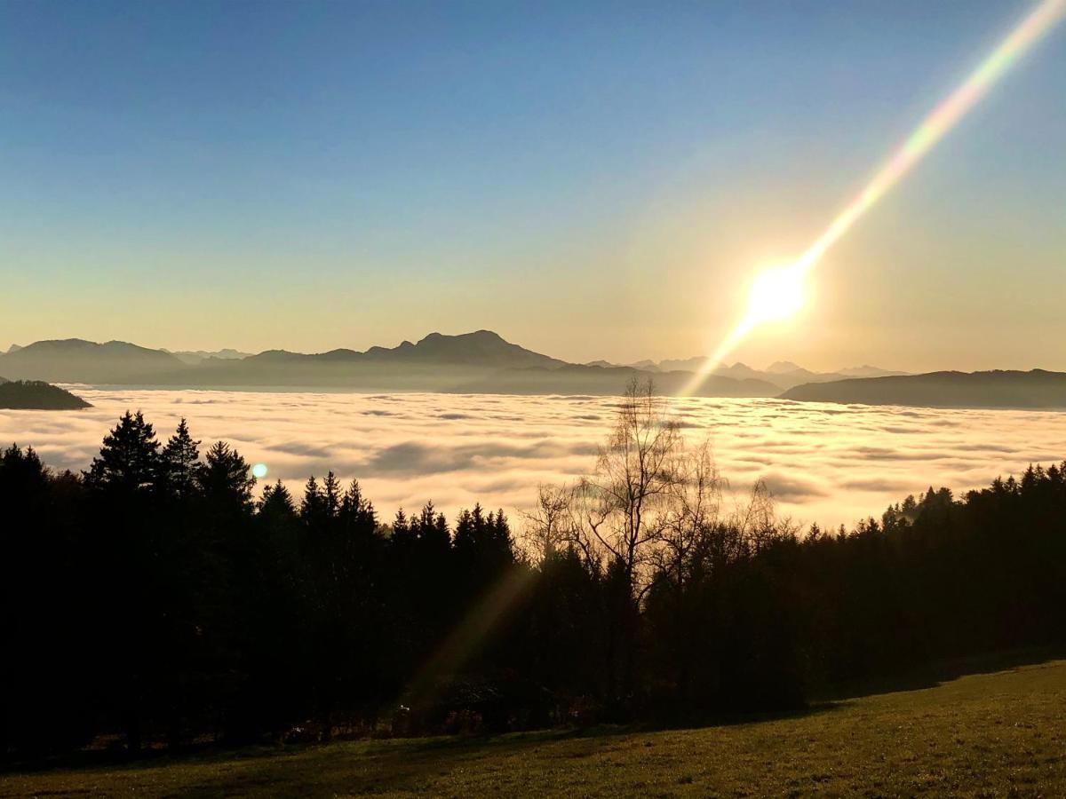Fewo Atterseeperle - 80M2 Mit See- Und Gebirgsblick Steinbach am Attersee Extérieur photo