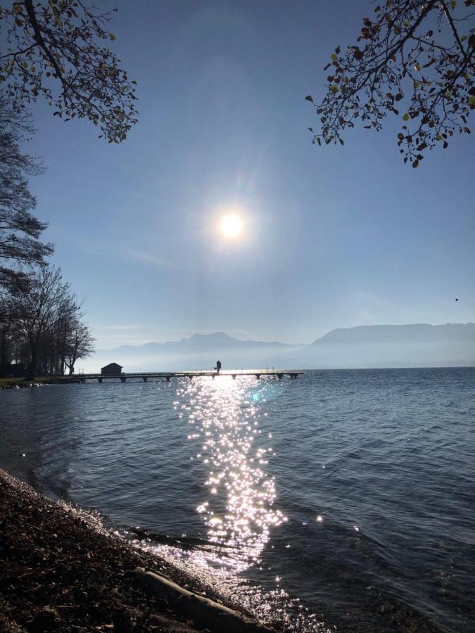 Fewo Atterseeperle - 80M2 Mit See- Und Gebirgsblick Steinbach am Attersee Extérieur photo