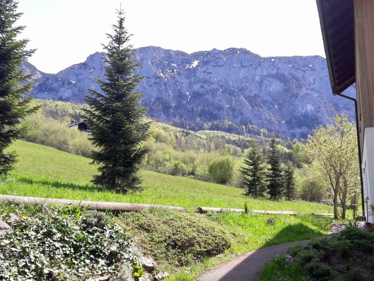 Fewo Atterseeperle - 80M2 Mit See- Und Gebirgsblick Steinbach am Attersee Extérieur photo